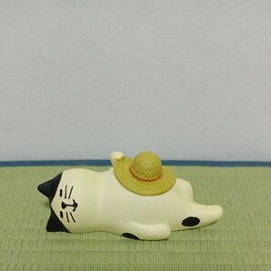 コンコンブル お昼寝