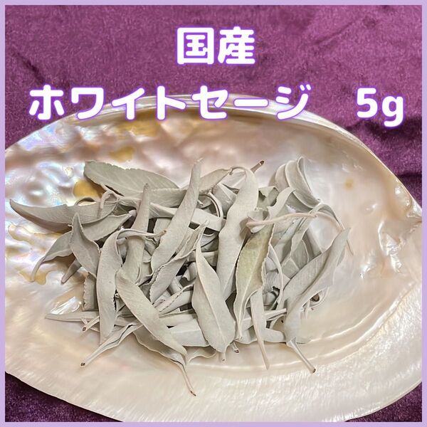 ホワイトセージリーフ(葉)5g 無農薬 国産 お香 浄化 パワーストーン