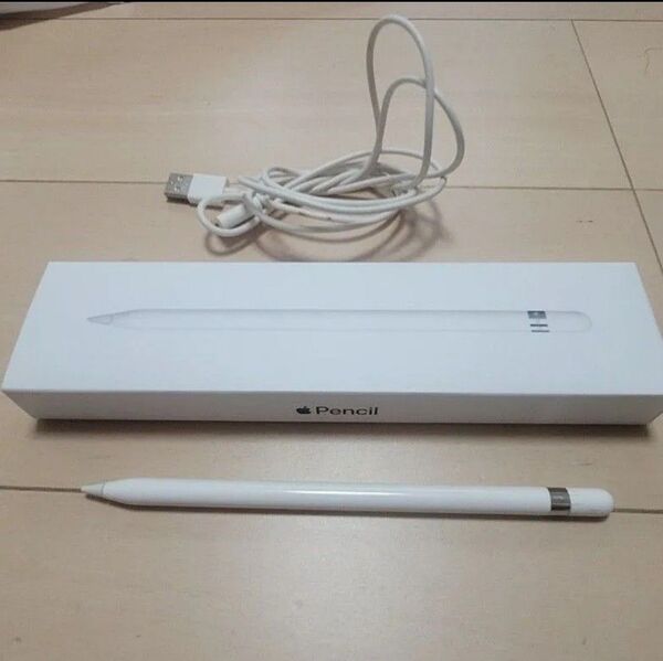 Apple Pencil 第1世代 充電ケーブル 箱付き アップルペンシル