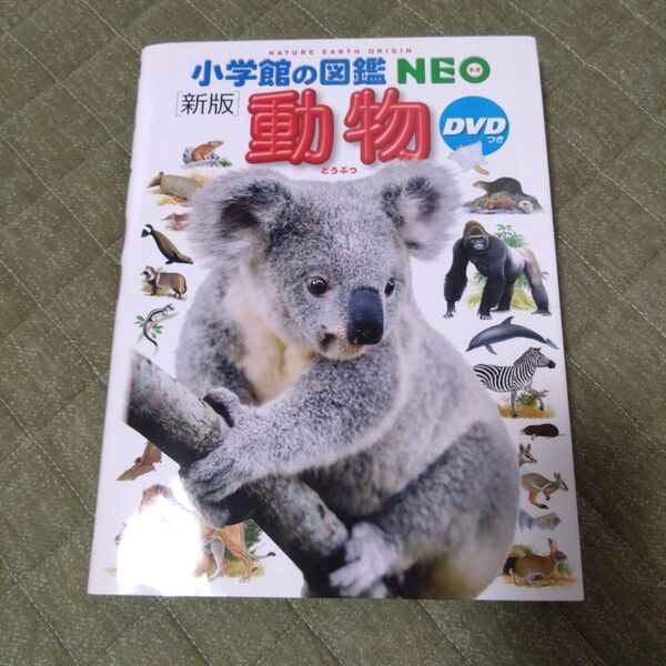 【DVDなし】小学館の図鑑NEO 動物
