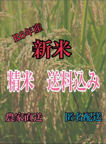 【令和6年産】コシヒカリ玄米10キロ→精米後約9キロ