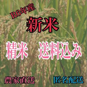 【令和6年産】コシヒカリ玄米10キロ→精米後約9キロ