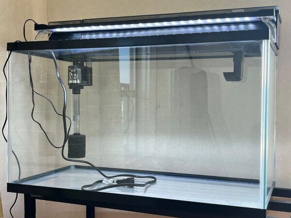 【展示品 超美品】GEX60cm水槽(付属品付き)