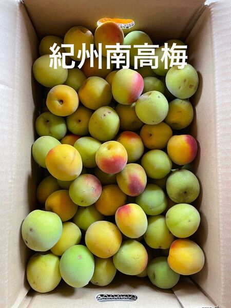 和歌山県産 紀州南高梅 混合 5キロ