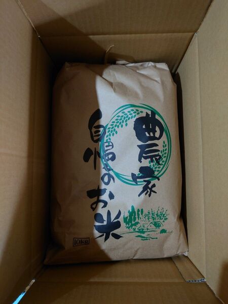 令和6年新潟県産コシヒカリ玄米10kg