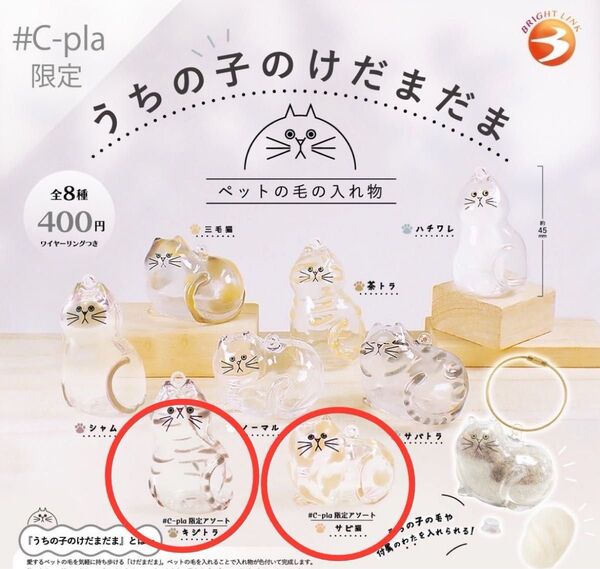 うちの子のけだまだま ガチャ カプセルトイ キジトラ c-pla 限定 サビ猫 c-pla 限定