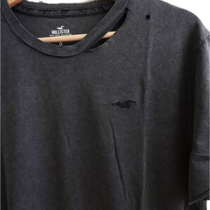 Hollister ホリスター Tシャツ ダメージ加工 ヴィンテージ加工