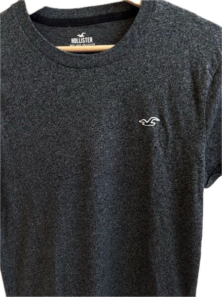 Hollister ホリスター 半袖 Tシャツ メンズ グレー Sサイズ