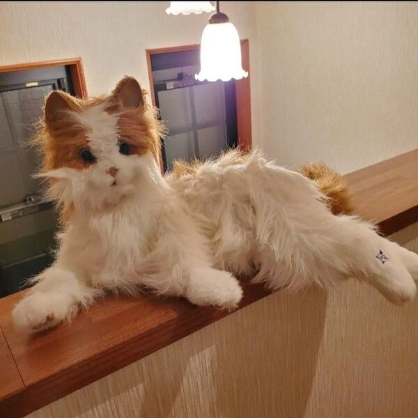 セガトイズ 夢ねこ ヴィーナス 猫 ネコ ぬいぐるみ