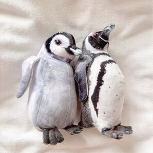 ケープペンギン コウテイペンギン stuffed animal プライズ アミューズメント ぬいぐるみ リアル 2個セット