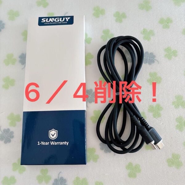 SUNGUY Type C × Type Cケーブル 2M