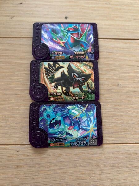 ポケモンフレンダ スーパートレジャー ボーマンダ ザルード テラパゴス 3枚セット