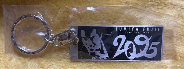 藤井フミヤ ツアーグッズ / CONCERT TOUR 2095 キーホルダー