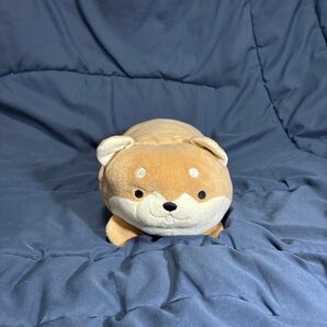 柴犬 抱き枕?