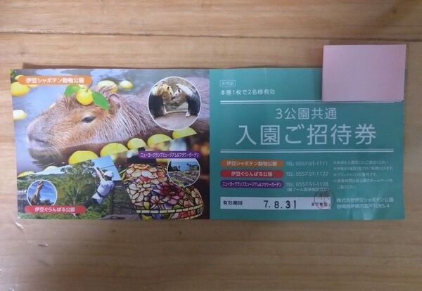 シャボテン動物公園、ぐらんぱる公園、ニューヨークランプミュージアム ペア入園招待券