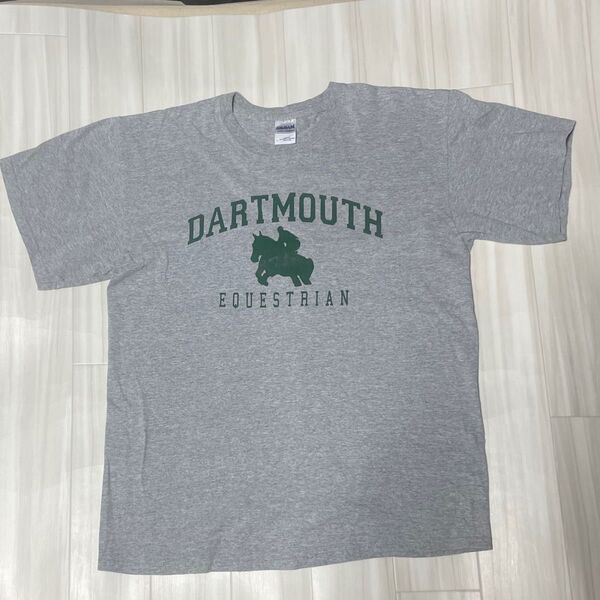 USA直輸入プリントTシャツプリントTシャツUSサイズL身幅約54、着丈約72ユーズド品洗濯済みです。