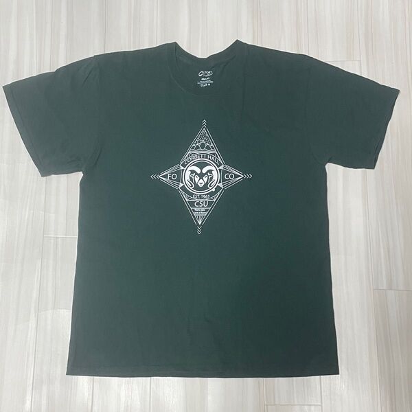 USA直輸入プリントTシャツUSサイズL身幅約53、着丈約71、ユーズド品洗濯済みです。コットン100%。