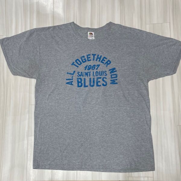 フルーツオブザルームプリントTシャツUSサイズL身幅約54、着丈約71、ユーズド品洗濯済み。プリント部分他全体的に綺麗です。