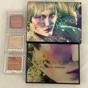 アディクション ホリデーアディクション ブラッシュ パレット アンノウン ファミリア 101 セザンヌ アイシャドウ