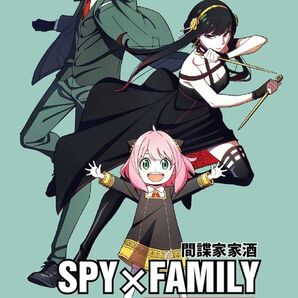 新品海外版DVD スパイファミリー1期