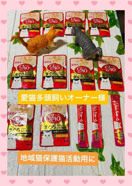 CIAO いなば パウチ ささみ まぐろ節入り 本格かつおだし 国産 10袋 緑茶消臭成分 40g 猫 ちゅーる三本