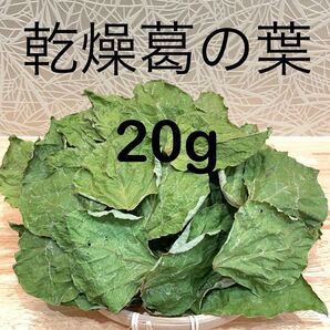 乾燥 葛の葉 20g 小動物用おやつ