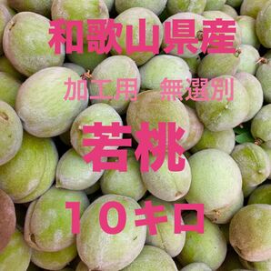 和歌山県産 若桃 摘果モモ 10キロ 無選別 加工用