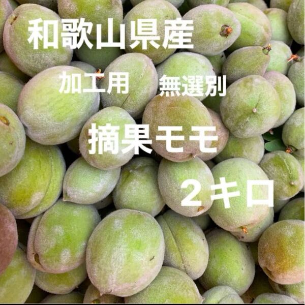 和歌山県産 摘果モモ 加工用 2kg