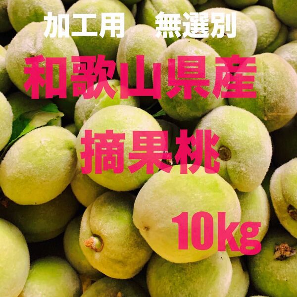 加工用無選別 和歌山県産摘果桃10kg