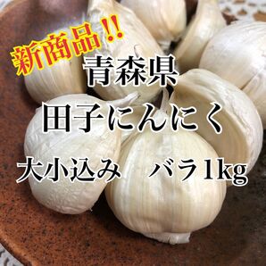 青森県田子町生産品!福地ホワイト六片 大小込みバラ1kg