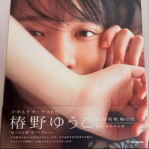 椿の色 椿野ゆうこ1st写真集 細居幸次郎/撮影 椿野ゆうこ/著 椿野ゆうこ 1st写真集 椿の色 写真集 初版 帯