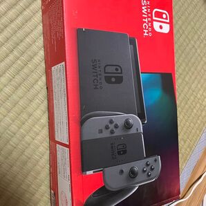 Nintendo Switch グレー + カメラ