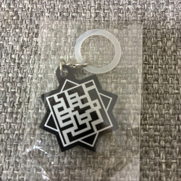 布袋寅泰 LIVE IN BUDOKAN 〜The HOTEI〜 ツアーグッズ キーホルダー 新品
