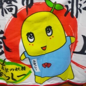 ふなっしー 大判フリースブランケット