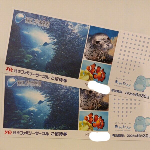新江ノ島水族館 大人2名様 招待券 チケット 入場券