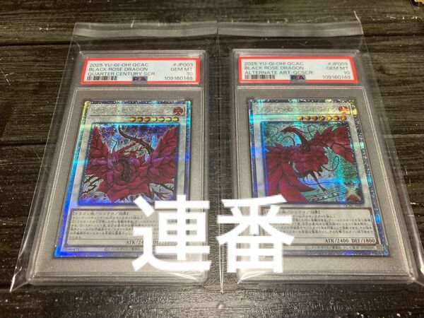 遊戯王 ブラックローズドラゴン 連番 PSA10 絵違い アーコレ 25th