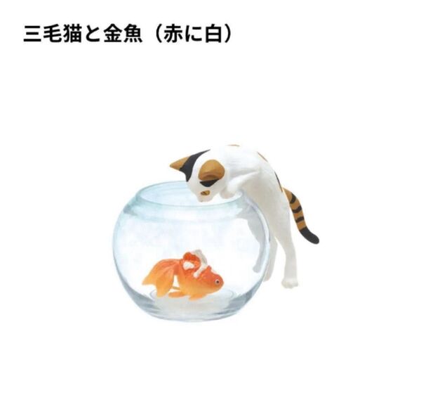 【1種類】猫と金魚 三毛猫と金魚(赤に白) 株式会社キタンクラブ 奇譚クラブ ハチワレ 三毛猫 動物フィギュア 猫ガチャ