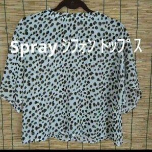 Spray Premium トップス ブラウス 半袖 シフォン フリーサイズ