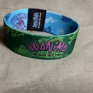 WANIMA ラバーバンド ゴムバンド ライブ フェス