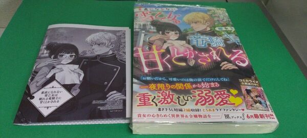 ノベル 素直になれない雪乙女は眠れる竜騎士に甘くとかされる 書店共通特典SS付き(定価1540)BKブックスf 2025.6.5