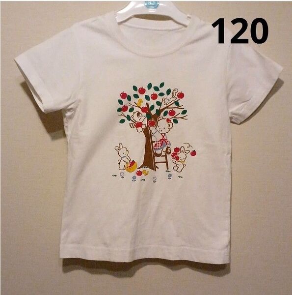 【120】キッズ Tシャツ ファミリア りんごの木