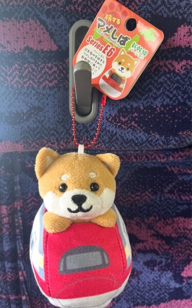 旅するマメしば まめた E6系 こまち JR東日本