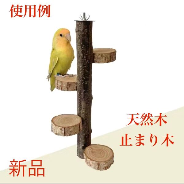 小鳥止まり木 縦型止まり木 キンカ鳥 文鳥インコ止まり木 ハムスター小動物踏み台