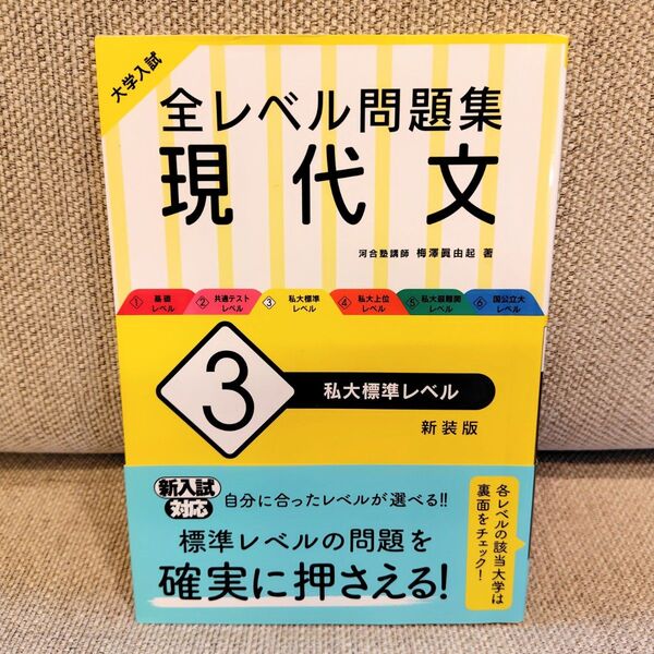 大学入試全レベル問題集現代文 3 新装版 (大学入試) 梅澤眞由起/著
