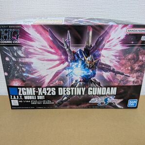 【新品未組立】HG 1/144 デスティニーガンダム