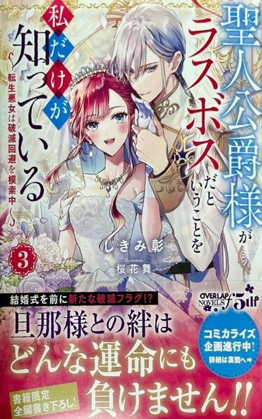 聖人公爵様がラスボスだということを私だけが知っている 3 ~転生悪女は破滅回避を模索中~
