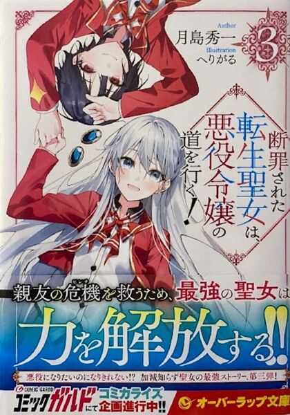 断罪された転生聖女は、悪役令嬢の道を行く (3