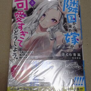 隣国から来た嫁が可愛すぎてどうしよう。 3 冬熊と呼ばれる俺の嫁は狙われすぎている!?