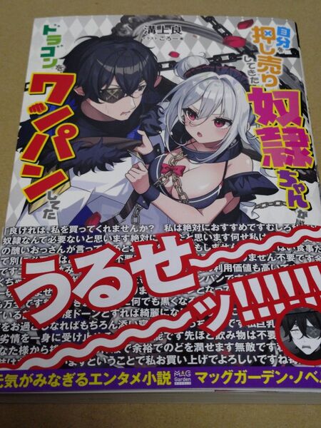 自分を押し売りしてきた奴隷ちゃんがドラゴンをワンパンしてた