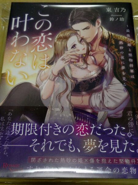 この恋は叶わない ~最後の姫と堅物将軍は熱砂の夜に夢を見る~